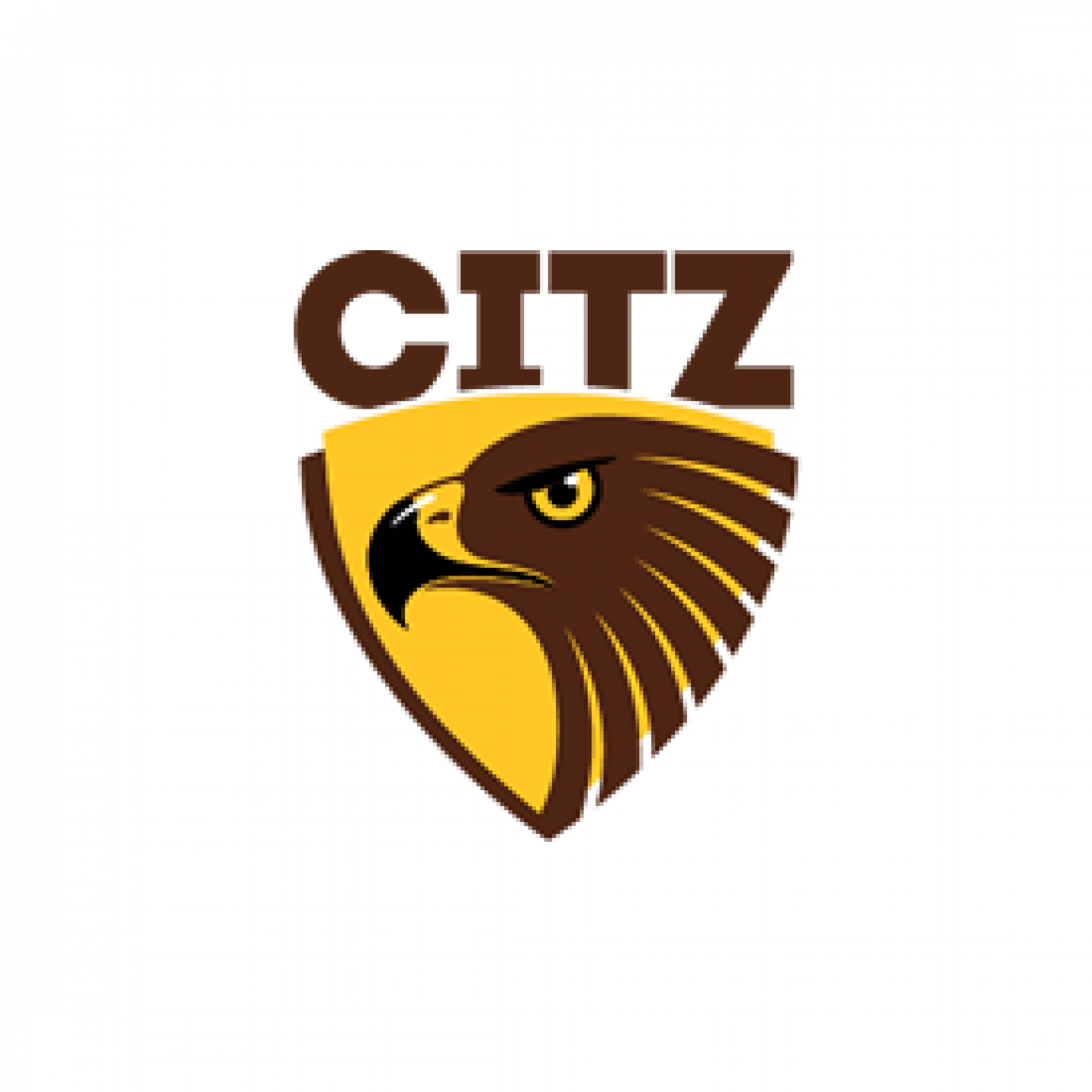 Hawthorn Junior Citiz Football Club Rezised